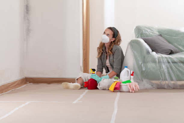 Reliable Mold Remediation contractor in Richmond, MN by WQB Mold Removal
